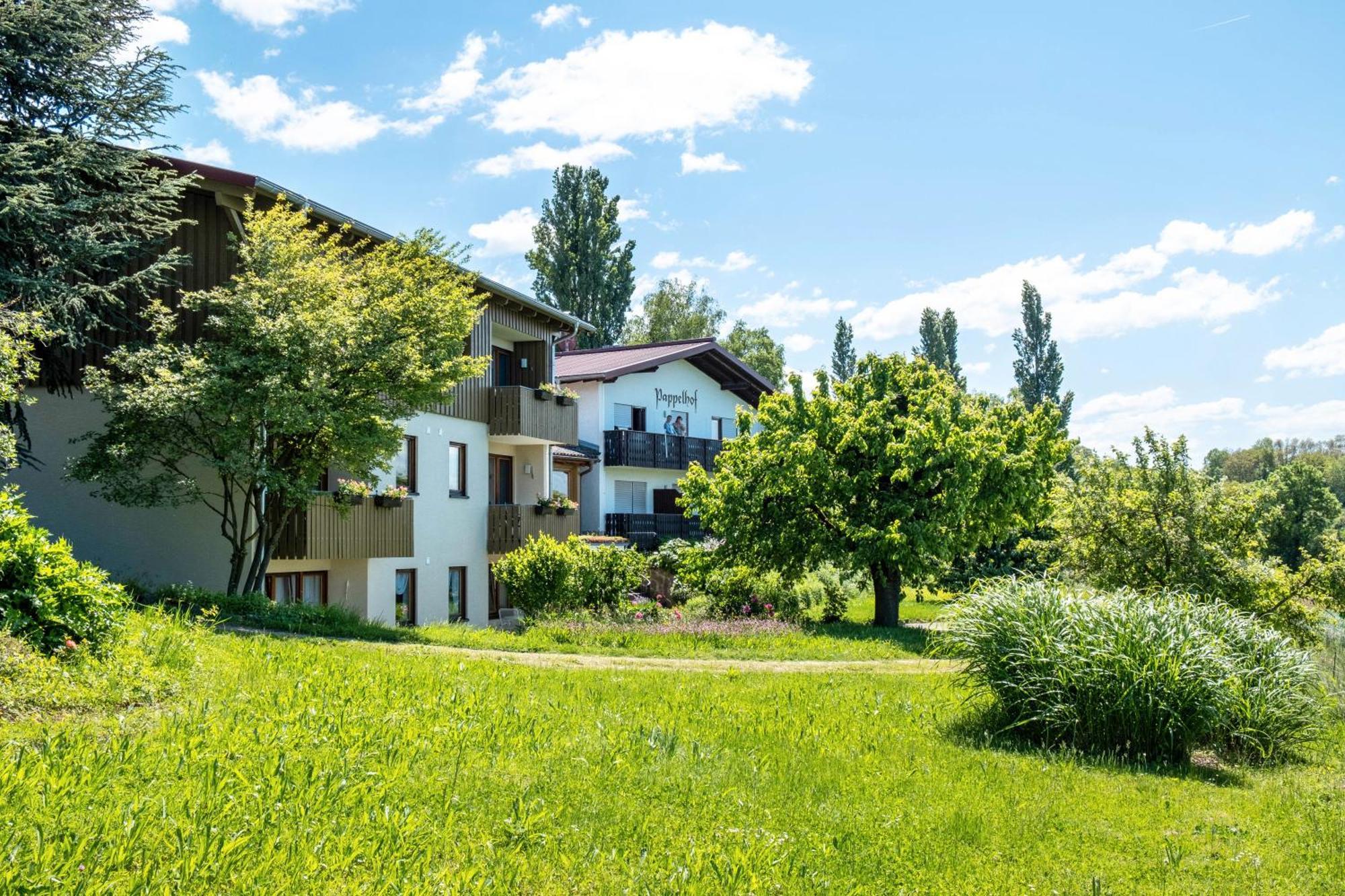 Апартаменты Pappelhof Бад-Беллинген Экстерьер фото